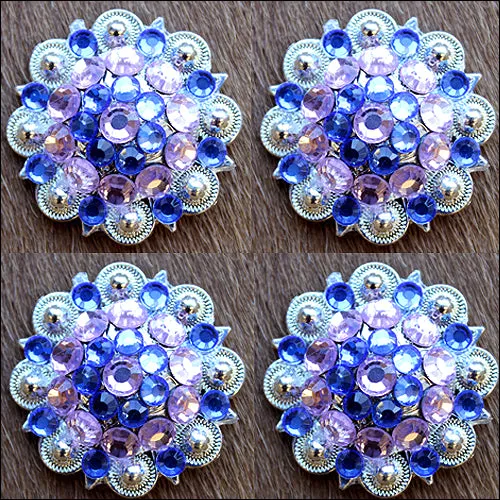 Rose Sapphire Crystals Berry Silver Bling Headstall Saddle